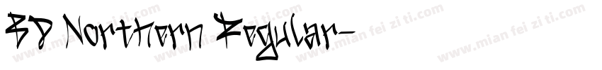 BD Northern Regular字体转换